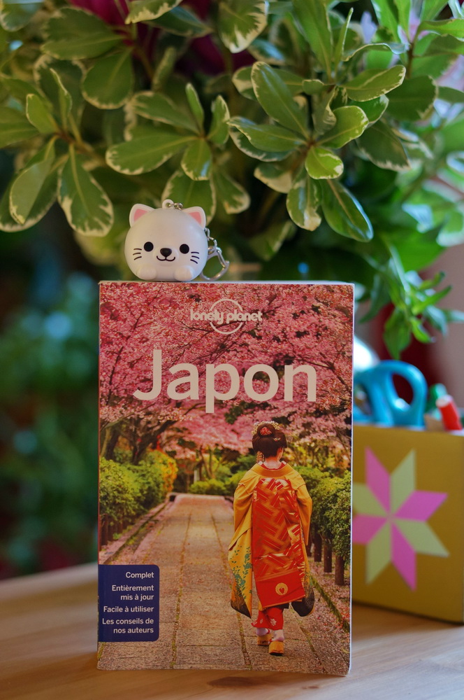 guide japon, guide lonely planet, guide lonely planet japon