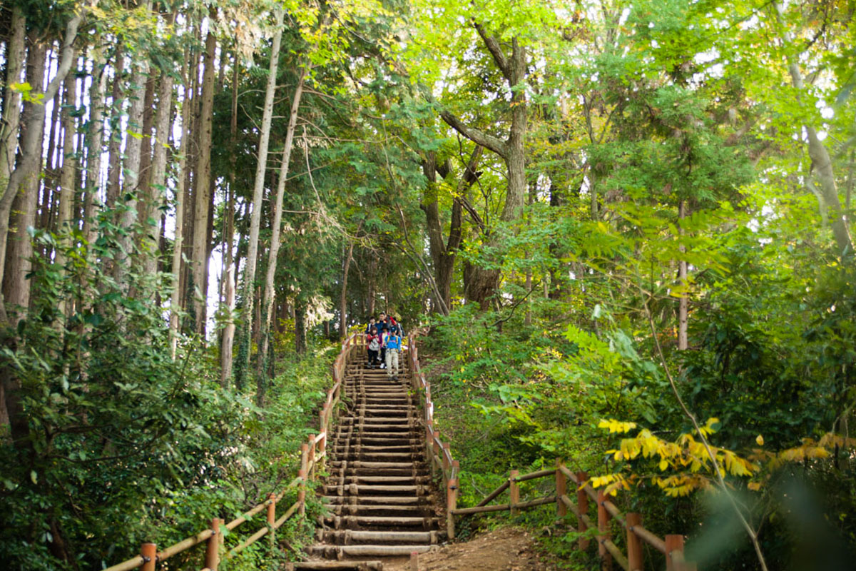 mont takao, takao mount, escapade autour de tokyo, campagne tokyo, week-end tokyo, montagne près de tokyo, japon, japan trip, voyage au japon