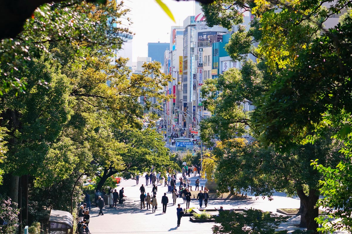 ueno, ueno park, parc ueno, tokyo city guide