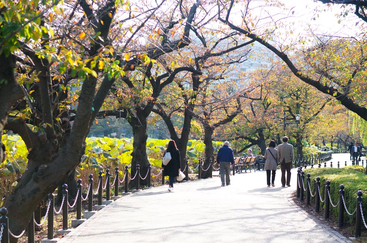 ueno, ueno park, parc ueno, tokyo city guide, jardin tokyo, park tokyo, parc tokyo