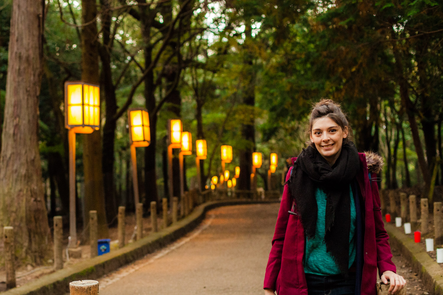 nara, nara tourisme, nara japon, nara de nuit, nara by night, lanternes japonaises