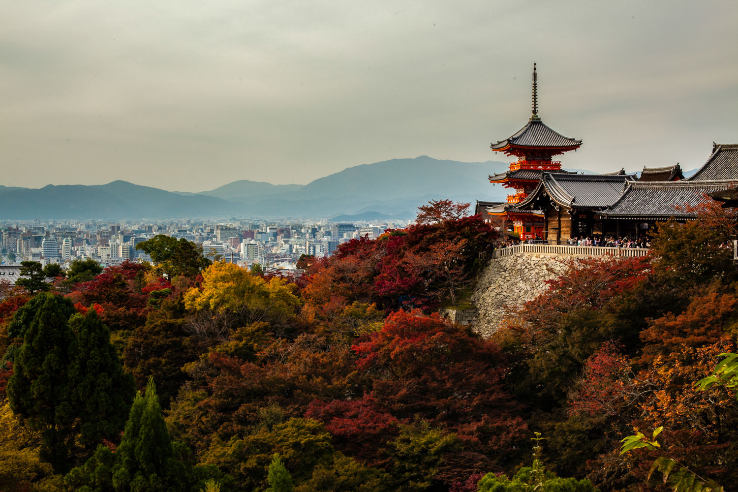 momiji, momiji kyoto, voyage kyoto, gion kyoto, gion, automne kyoto, kiyomizu-temple, temple kiyomizu