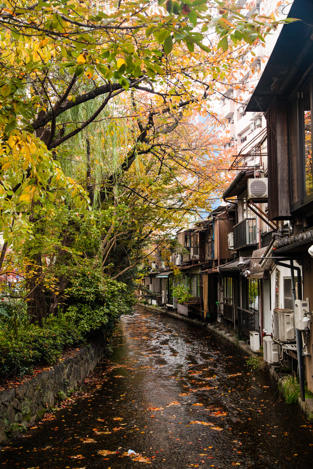 kyoto, voyage kyoto, tourisme kyoto, que faire à kyoto, canal takasegawa, canal kyoto, momiji kyoto, momiji 2016, automne kyoto, fall kyoto
