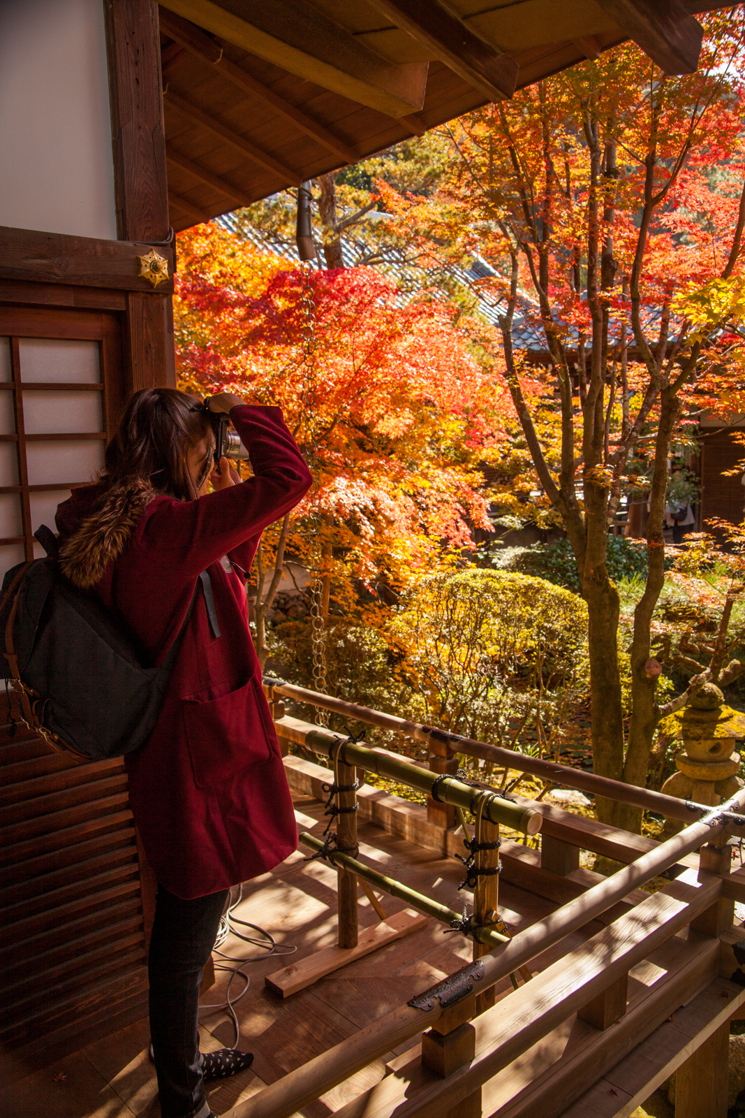 Eikan-do Zenrin-ji, eikando zenrinji, eikando temple, kyoto, kyoto chemin de la philosophie, kyoto momiji, automne kyoto, balade kyoto, séjour kyoto, voyage kyoto, érables kyoto, jardins kyoto