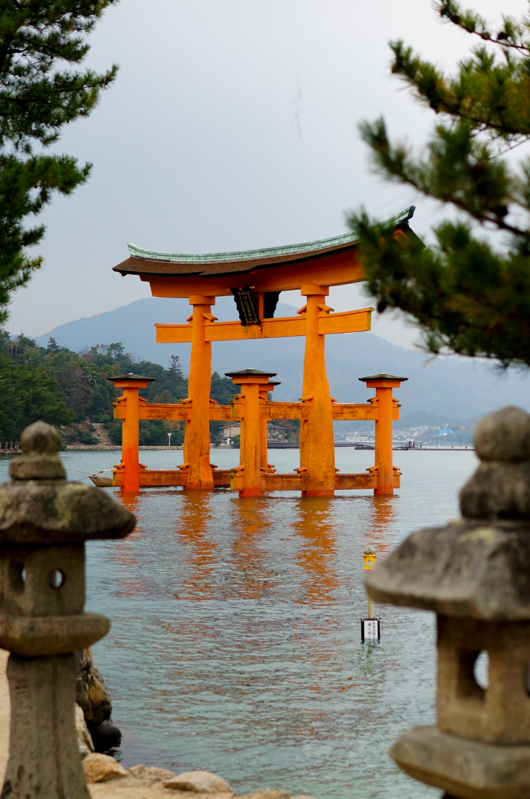 miyajima, voyage japon, île miyajima, torii flottant, torii mer