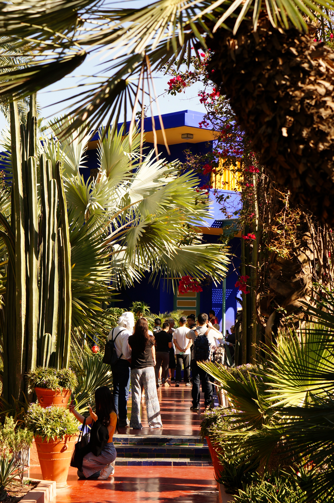 jardin majorelle, jaridn marrakech, idée balade marrakech, tourisme marrakech, visiter marrakech, incontournable marrakech