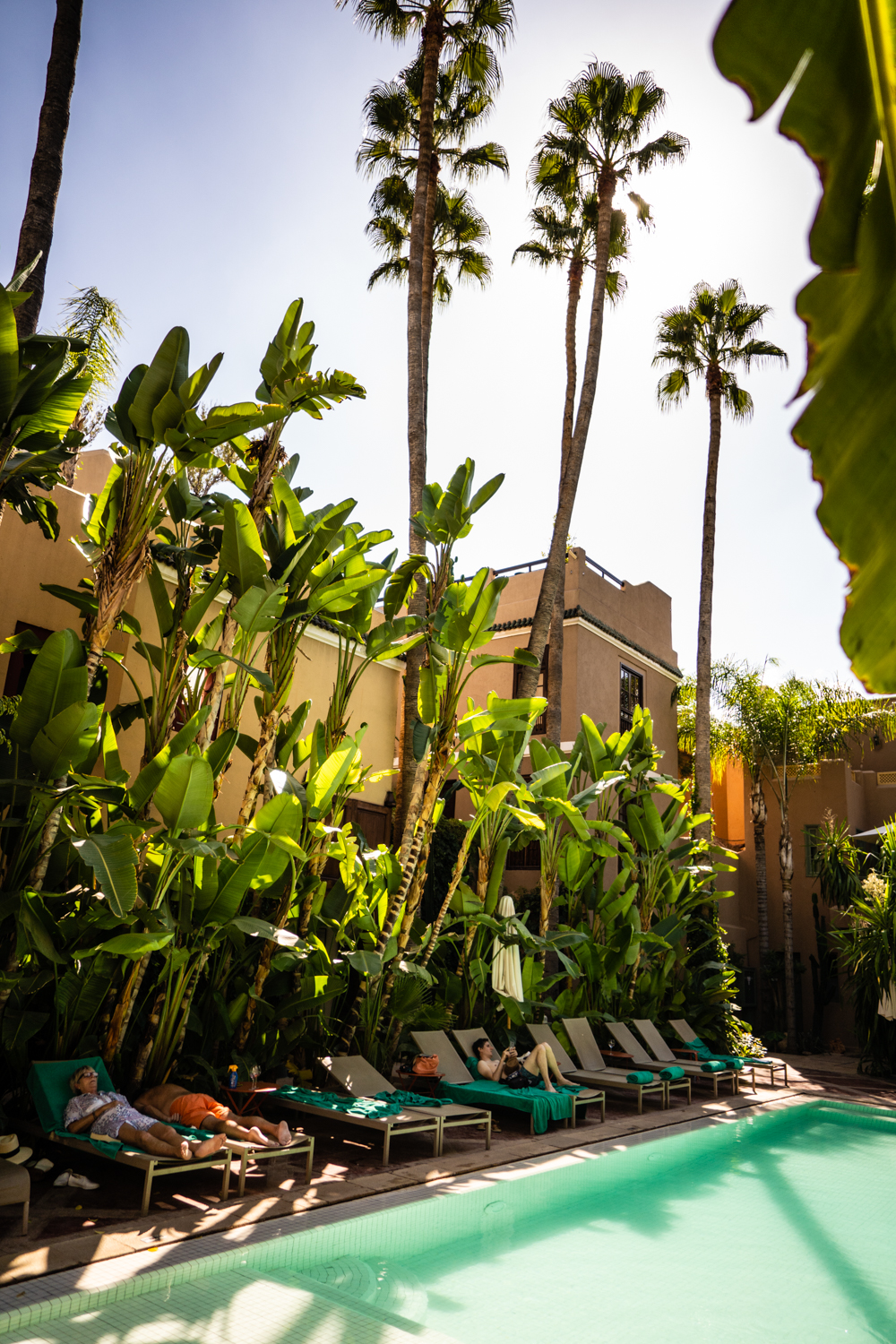 jardins médina marrakech, jardins médina, avis jardins médina, piscine jardins médina